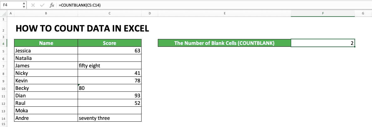 How to Count Data in Excel: Formulas and Functions - Screenshot of the COUNTBLANK Example