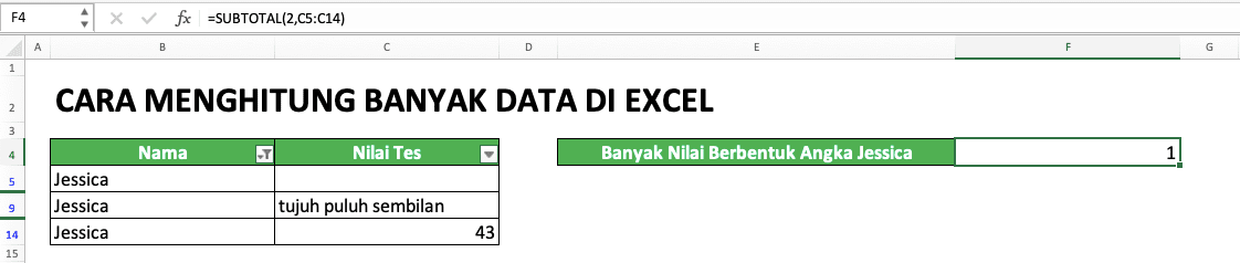 Cara Menghitung Banyak Data di Excel: Berbagai Rumus Serta Fungsinya - Screenshot Contoh SUBTOTAL