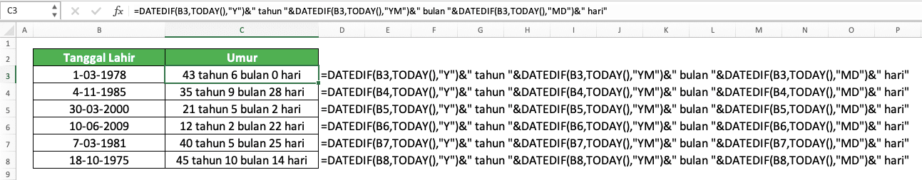 Cara Menggunakan Rumus DATEDIF Excel: Fungsi, Contoh, dan Langkah Penulisan - Screenshot Contoh Implementasi DATEDIF TODAY untuk Menghitung Umur dari Tanggal Lahir