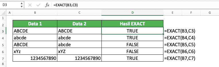 Cara Menggunakan Rumus EXACT Excel: Fungsi, Contoh, dan Langkah Penulisan - Screenshot Contoh Implementasi Rumus EXACT