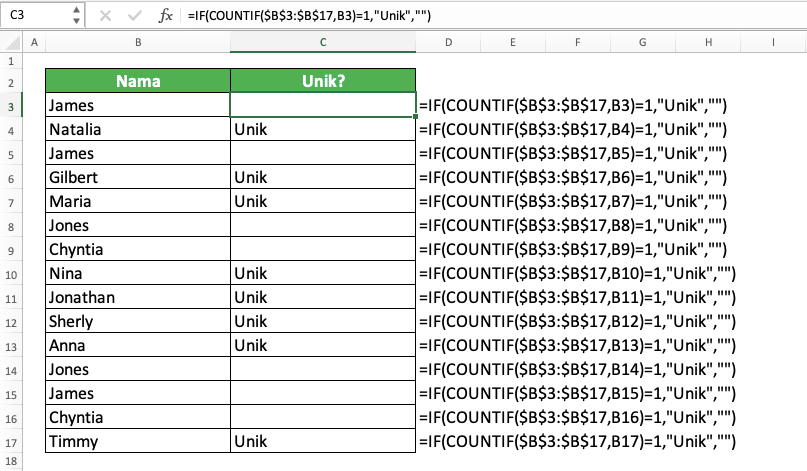 Fungsi dan Cara Menggunakan IF COUNTIF di Excel - Screenshot Contoh Implementasi IF COUNTIF untuk Menemukan Data Unik di Excel