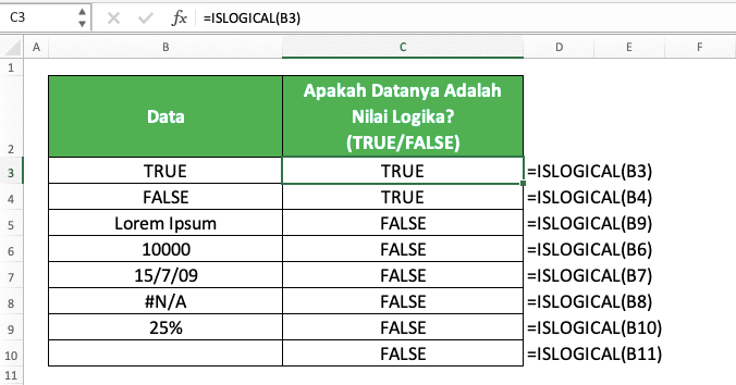 Cara Menggunakan Rumus ISLOGICAL Excel: Fungsi, Contoh, dan Langkah Penulisan - Screenshot Contoh Implementasi ISLOGICAL