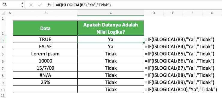 Cara Menggunakan Rumus ISLOGICAL Excel: Fungsi, Contoh, dan Langkah Penulisan - Screenshot Contoh Implementasi IF ISLOGICAL