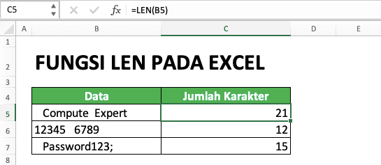 Cara Menggunakan Rumus/Fungsi LEN Pada Excel: Kegunaan, Contoh, dan Penulisan - Screenshot LEN Sebelum Dikombinasikan Dengan TRIM