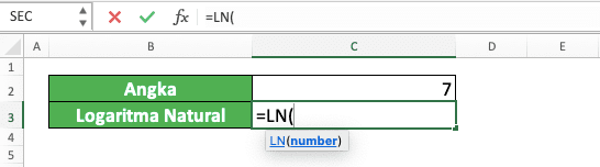 Cara Menggunakan Rumus LN di Excel: Fungsi, Contoh, dan Langkah Penulisan - Screenshot Langkah 2