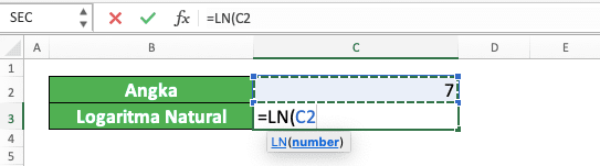 Cara Menggunakan Rumus LN di Excel: Fungsi, Contoh, dan Langkah Penulisan - Screenshot Langkah 3