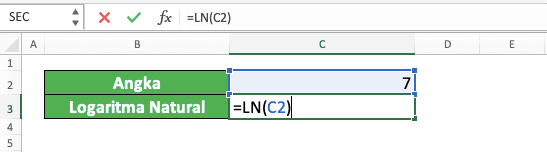Cara Menggunakan Rumus LN di Excel: Fungsi, Contoh, dan Langkah Penulisan - Screenshot Langkah 4