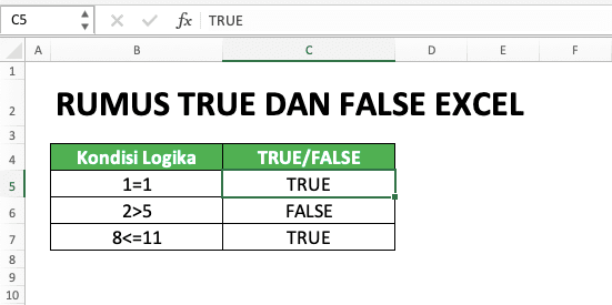 Cara Menggunakan Rumus TRUE dan FALSE Excel: Fungsi, Contoh, dan