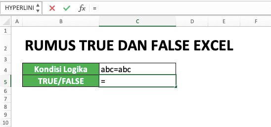 Cara Menggunakan Rumus TRUE dan FALSE Excel: Fungsi, Contoh, dan Penulisan - Screenshot Langkah 1-1
