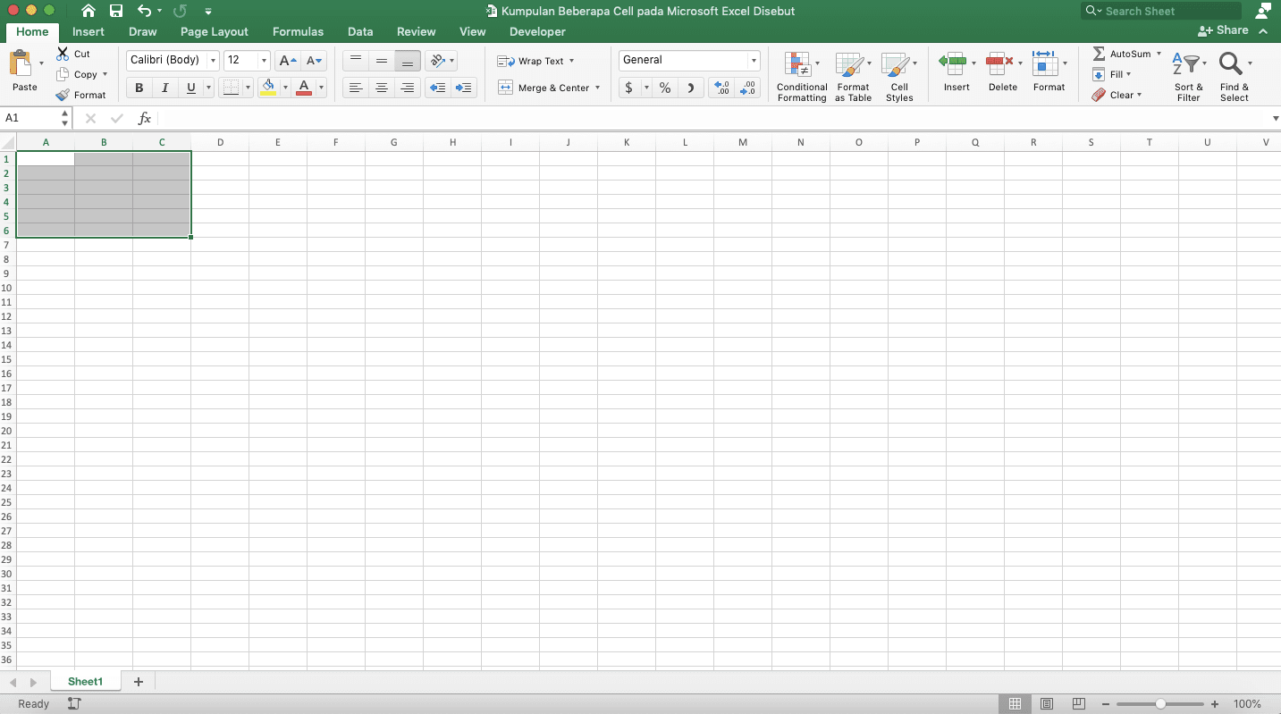 Kumpulan Beberapa Cell pada Microsoft Excel Disebut … - Screenshot Contoh Range 1