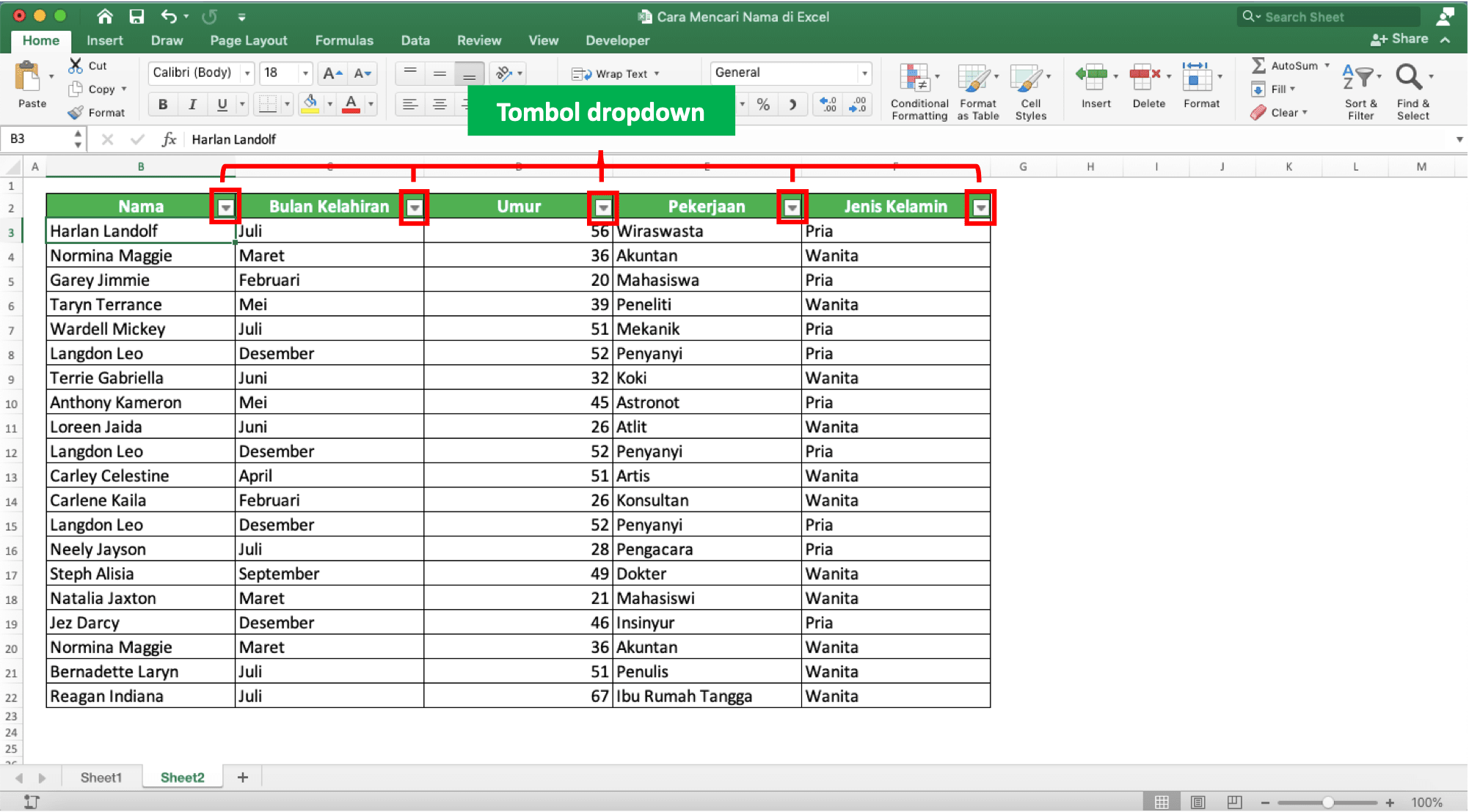 Cara Mencari Nama di Excel - Screenshot Contoh Tombol Dropdown yang Muncul Pada Header Setelah Kita Mengklik Tombol Filter di Excel