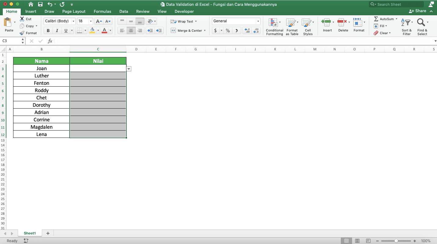 Data Validation di Excel: Fungsi dan Cara Menggunakannya - Screenshot Contoh Hasil Menemukan Cell-Cell dengan Data Validation