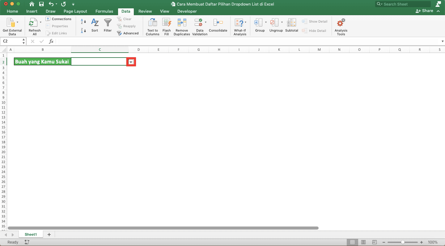 Cara Membuat Daftar Pilihan/Dropdown List di Excel - Screenshot Langkah 7-1