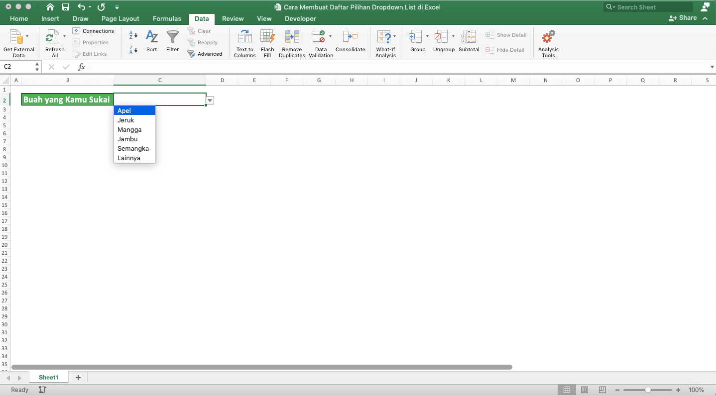 Cara Membuat Daftar Pilihan/Dropdown List di Excel - Screenshot Langkah 7-2