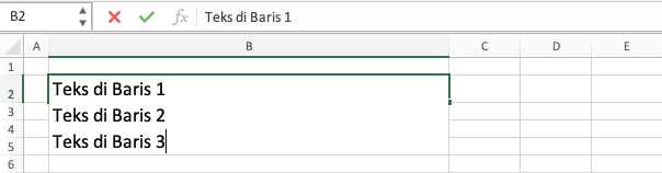 Cara Enter Tulisan di Excel - Screenshot Contoh Hasil Cara Enter di Excel Menggunakan Aplikasi Editor Teks