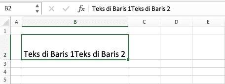 Cara Enter Tulisan di Excel - Screenshot Data Teks untuk Contoh Cara Enter di Excel dengan Alt + Enter