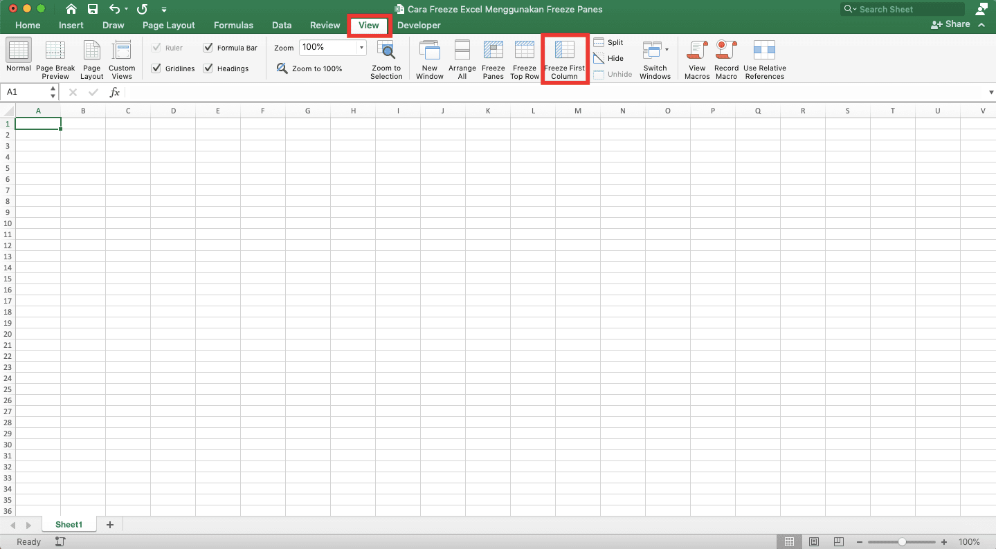 Cara Freeze Excel Menggunakan Freeze Panes - Screenshot Lokasi Tombol Freeze First Column di Excel