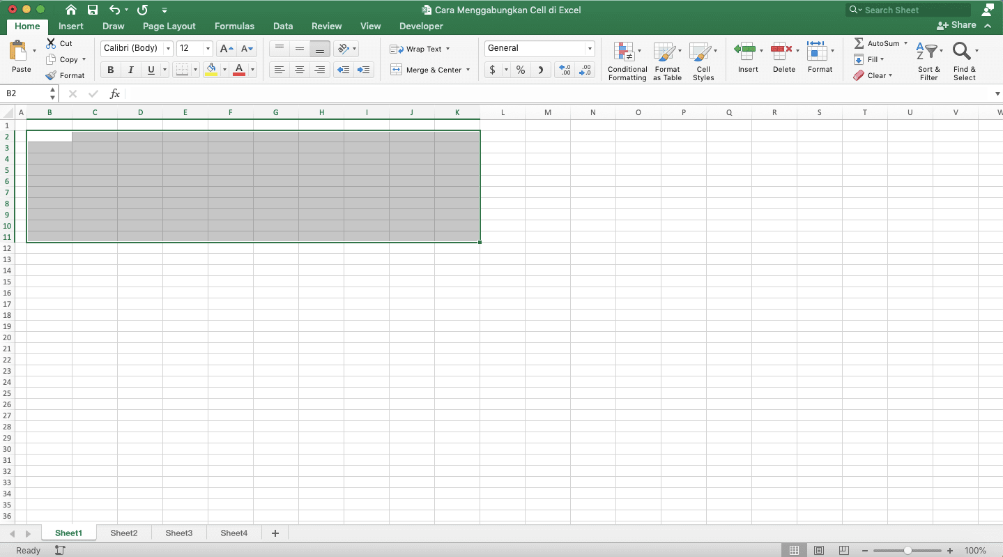 Cara Menggabungkan Cell di Excel - Screenshot Contoh Hasil Unmerge Cells