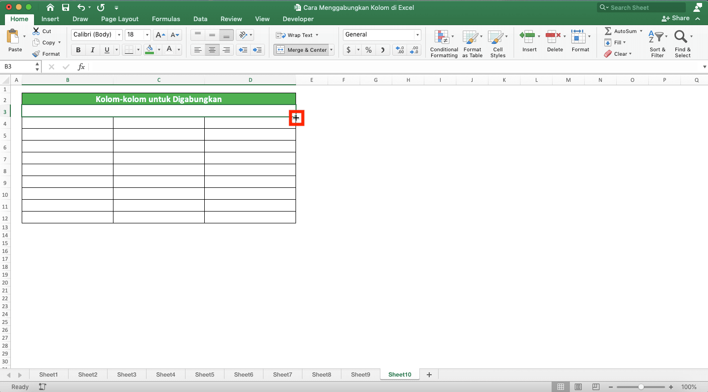 Cara Menggabungkan Kolom di Excel - Screenshot Contoh Bentuk Plus Pointer