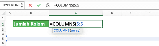 Jumlah Kolom dan Baris Pada Microsoft Excel - Screenshot Pengetikkan Input COLUMNS Untuk Mendapatkan Jumlah Kolom Worksheet