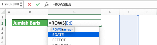 Jumlah Kolom dan Baris Pada Microsoft Excel - Screenshot Pengetikkan Input ROWS Untuk Mendapatkan Jumlah Baris Worksheet