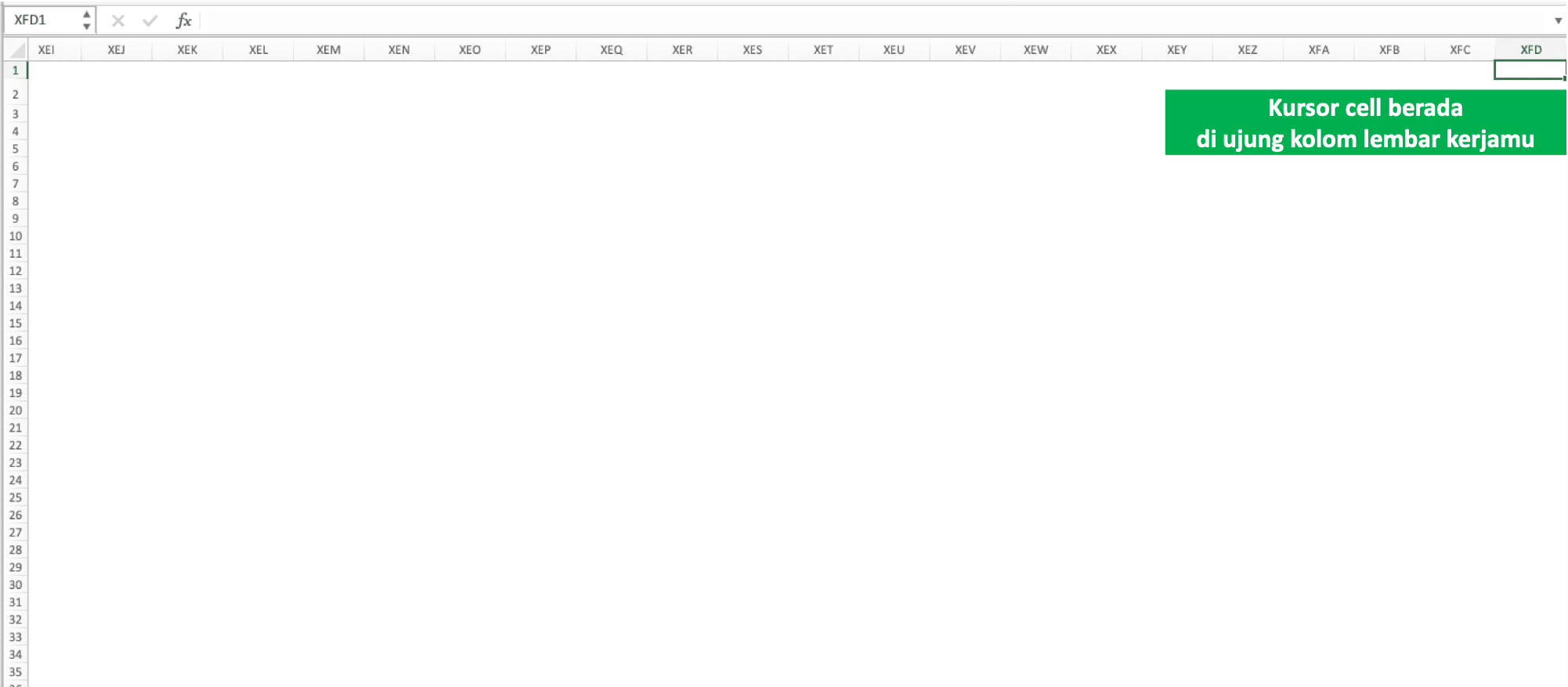 Jumlah Kolom dan Baris Pada Microsoft Excel - Screenshot Hasil Shortcut Untuk Pergi ke Ujung Kolom