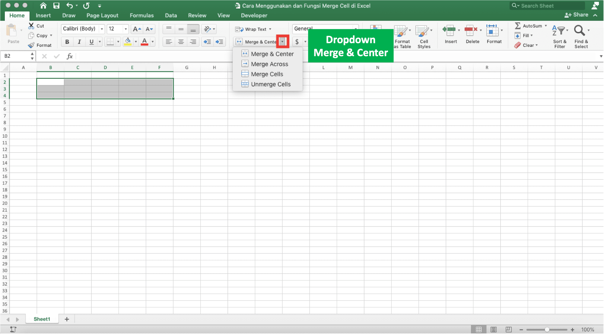 Cara Menggunakan dan Fungsi Merge Cells di Excel - Screenshot Langkah 2-2