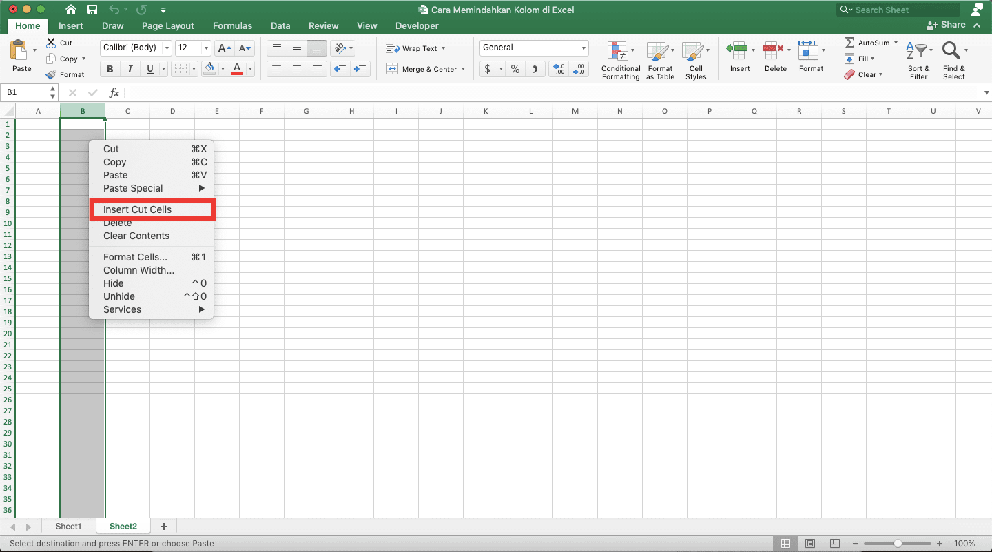 Cara Memindahkan Kolom di Excel - Screenshot Lokasi Pilihan Insert Cut Cells