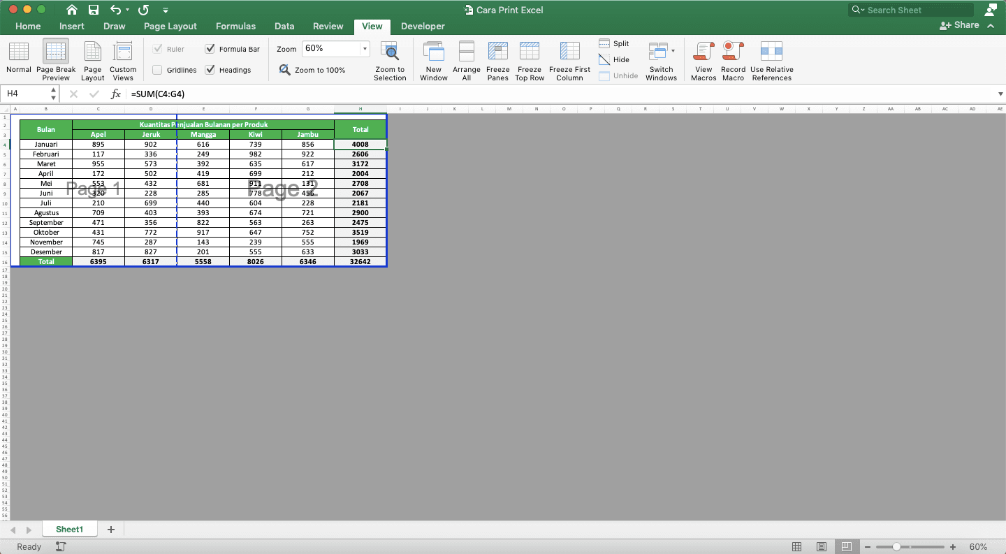 Cara Print Excel Agar Tidak Terpotong, Rapi, dan Full Kertas - Screenshot Contoh Tampilan Page Break Preview