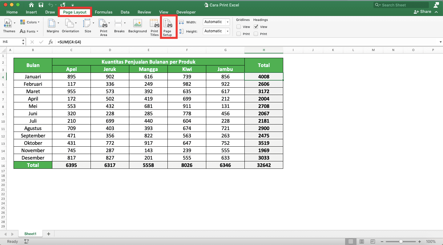 Cara Print Excel Agar Tidak Terpotong, Rapi, dan Full Kertas - Screenshot Lokasi Tombol Page Setup di Tab Page Layout