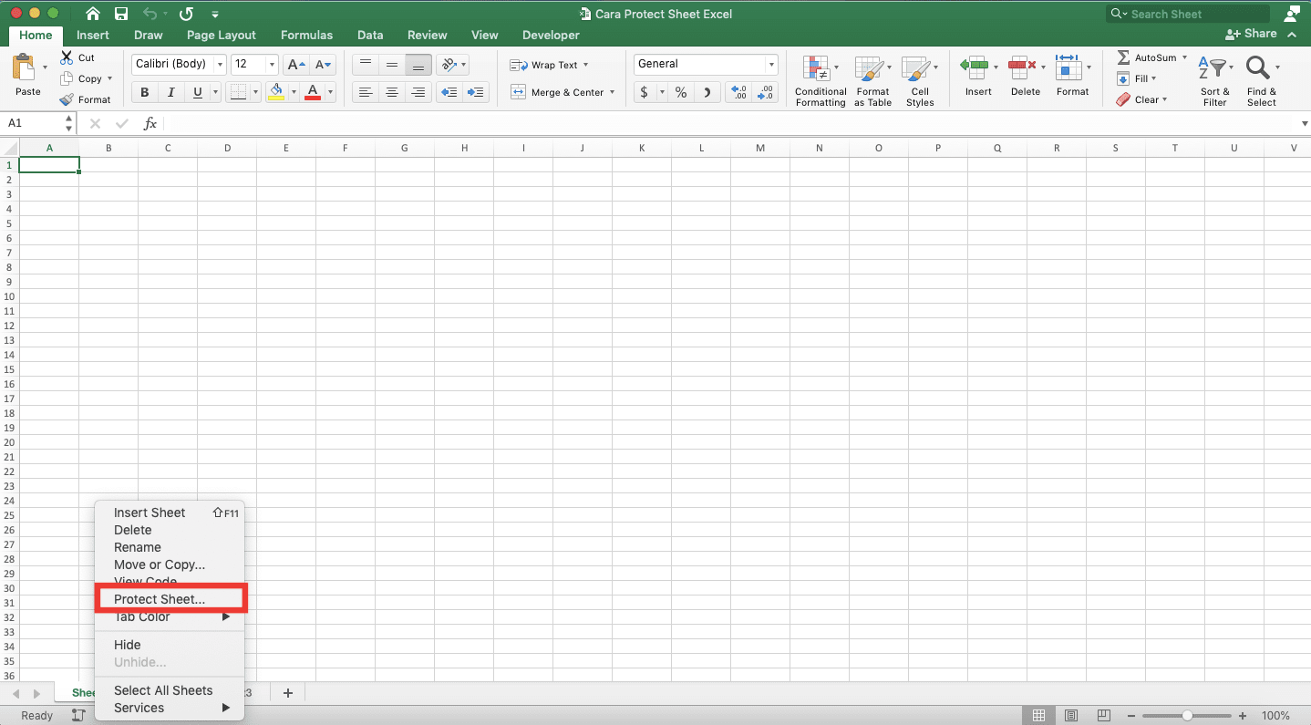 Cara Protect Sheet Excel - Screenshot Cara Protect Sheet Excel dengan Klik keamanan, Langkah 2