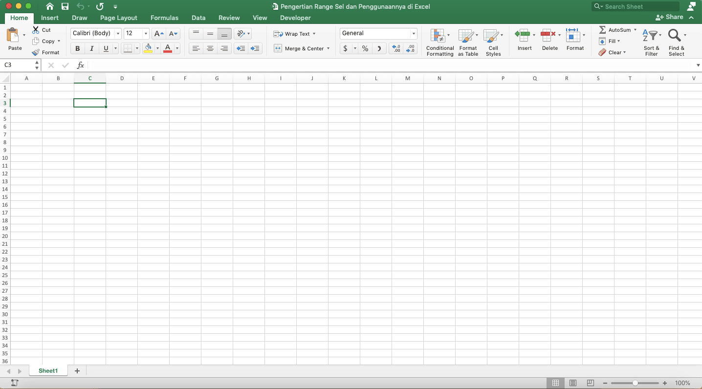 Pengertian Dari Range Adalah; Definisi, Fungsi, dan Penggunaannya di Excel - Screenshot Contoh Sel (Cell)