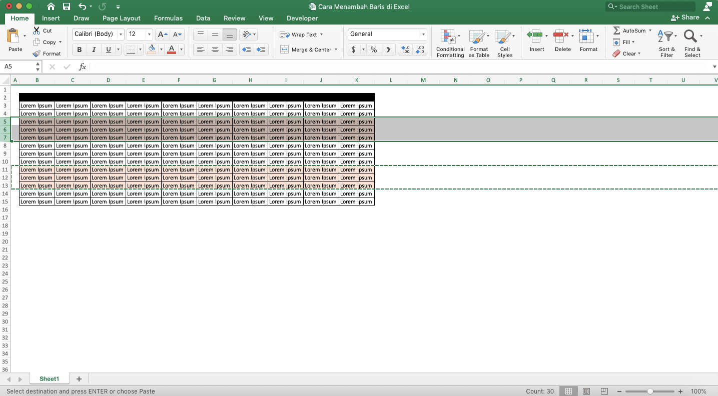 Cara Menambah Baris di Excel - Screenshot Contoh Hasil Penambahan Baris Salinan di Excel