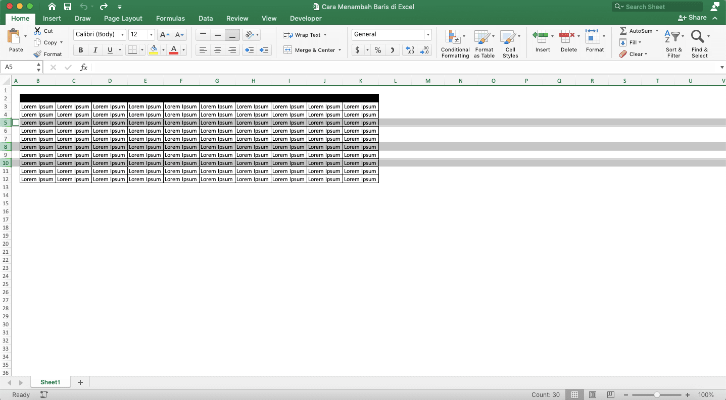 Cara Menambah Baris di Excel - Screenshot Cara Menambah Beberapa Baris Secara Tidak Berurutan, Langkah 3