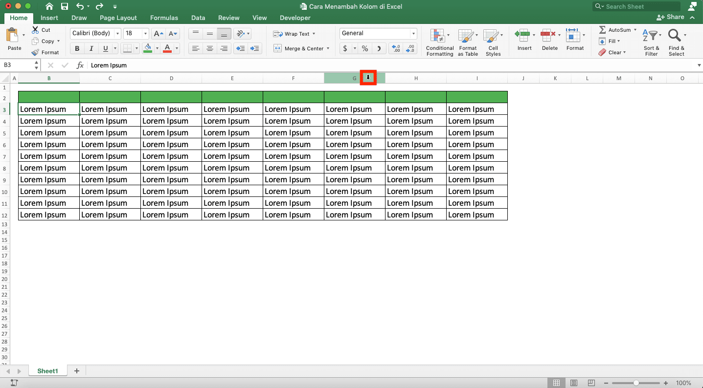 Cara Menambah Kolom di Excel - Screenshot Langkah Penambahan Banyak Kolom 1