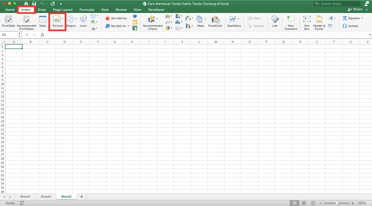 Cara Membuat Tanda Ceklis/Tanda Centang di Excel - Screenshot Lokasi Tab Insert dan Tombol Picture di Excel