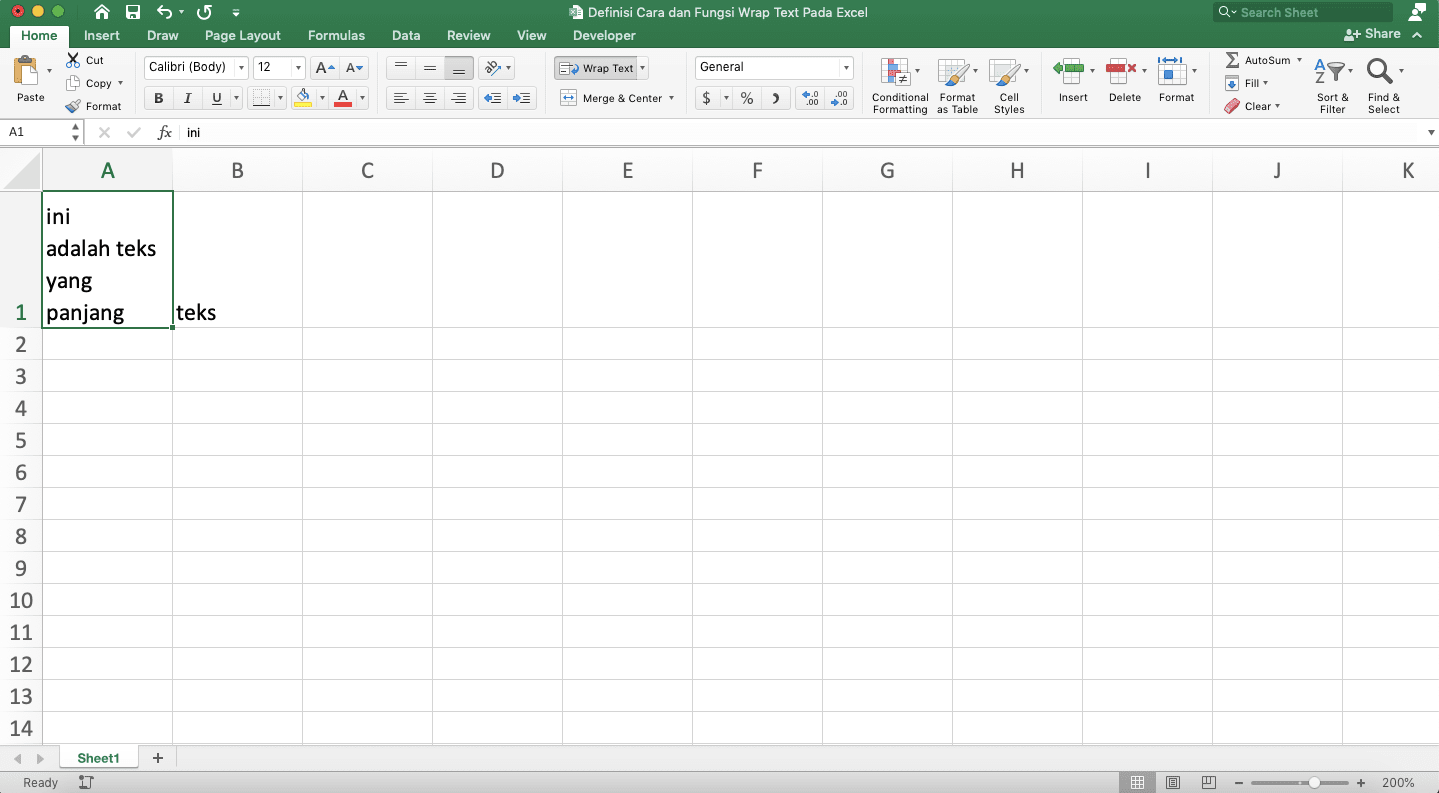 Definisi, Cara, dan Fungsi Wrap Text Pada Excel - Screenshot Contoh Hasil Wrap Text Manual
