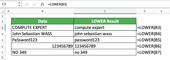 How to Use the LOWER Formula in Excel: Functions, Examples, and Writing Steps - Screenshot of the LOWER Implementation Example