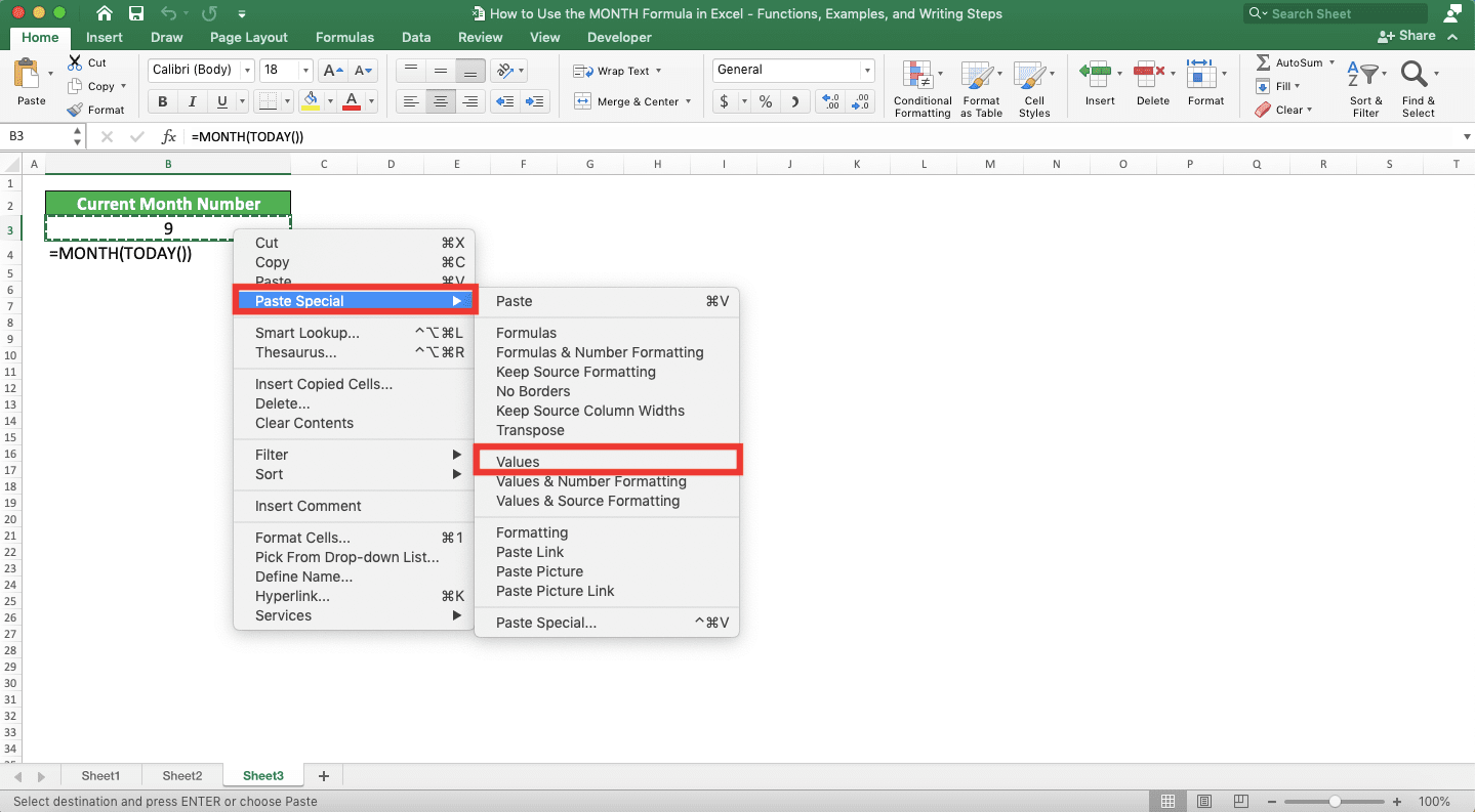 How to Use the MONTH Formula in Excel: Functions, Examples, and Writing Steps - Screenshot of the Paste Special and Values Location in the Cell Right-Click Menu