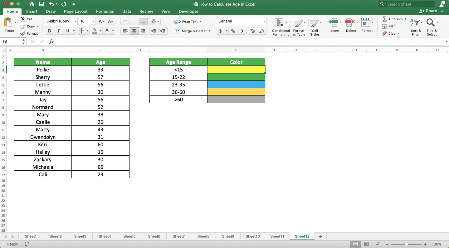 How to Calculate Age in Excel - Screenshot of the Data Set for the Conditional Formatting Implementation Example to Highlight Age Numbers According to Their Age Range