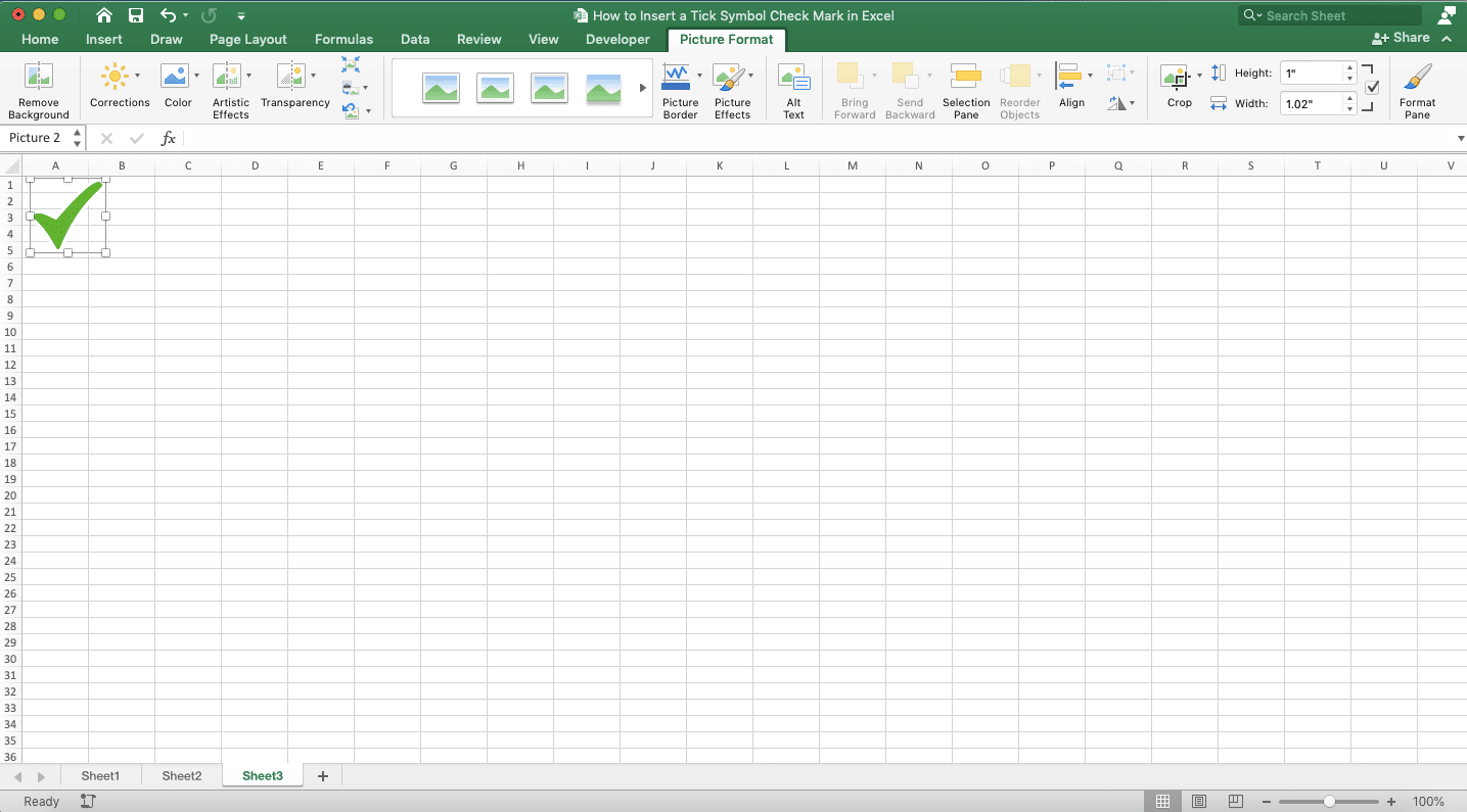How to Insert a Tick Symbol/Checkmark in Excel - Screenshot of the Insert Image Method Result Example to Insert a Checkmark/Tick Symbol in Excel