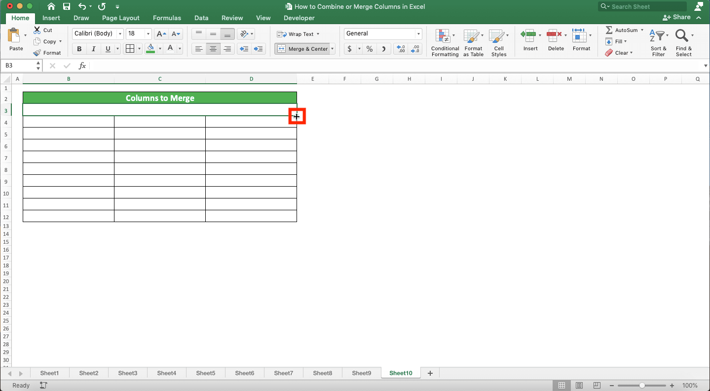 How to Combine/Merge Columns in Excel - Screenshot of the Pointer's Plus Form