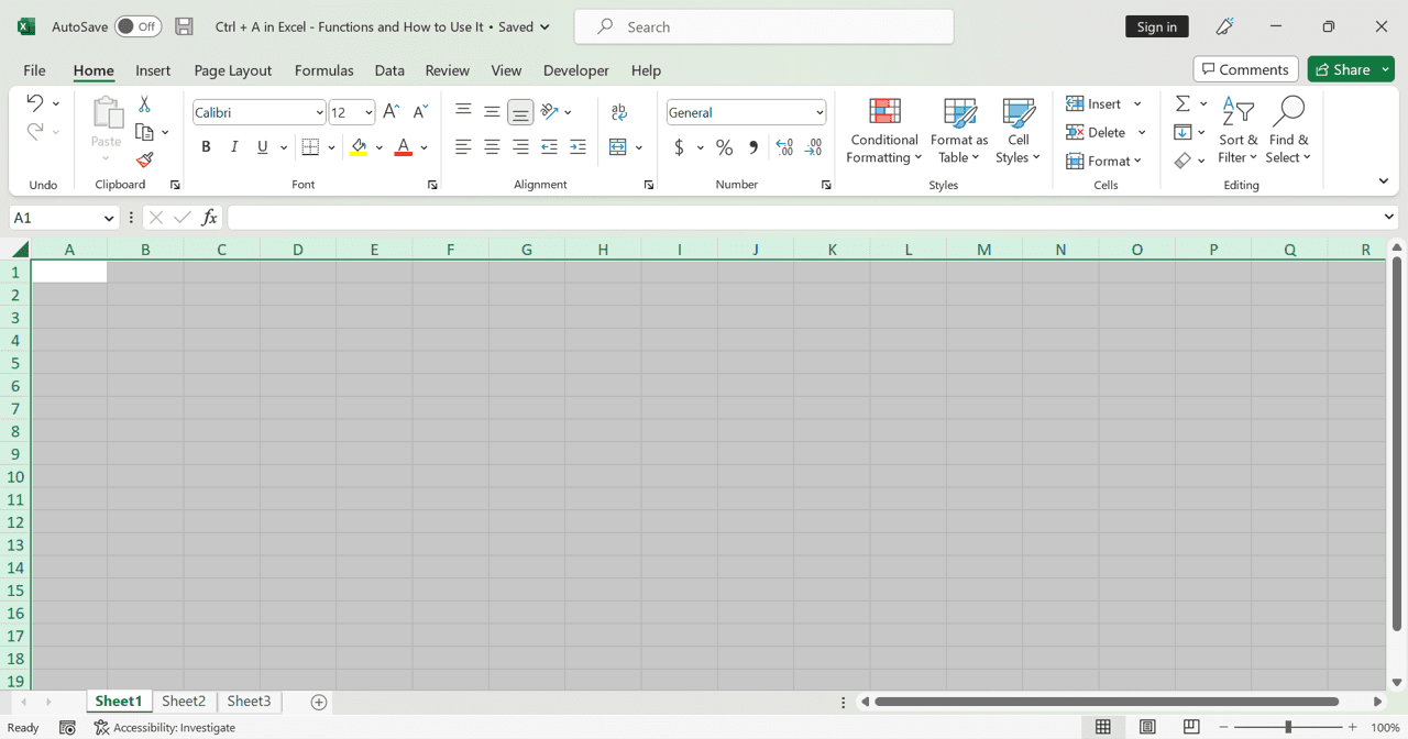 Ctrl + A in Excel: Functions and How to Use It - Screenshot of a Result Example When We Press Ctrl + A on a Cell Without a Data Table