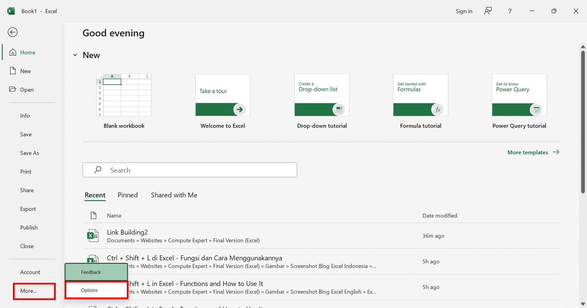 Ctrl + Y in Excel: Functions and How to Use It - Screenshot of the More... and Options Choices Locations