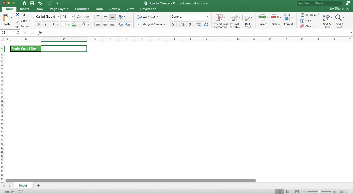 How to Create a Drop-down List in Excel - Screenshot of Step 1