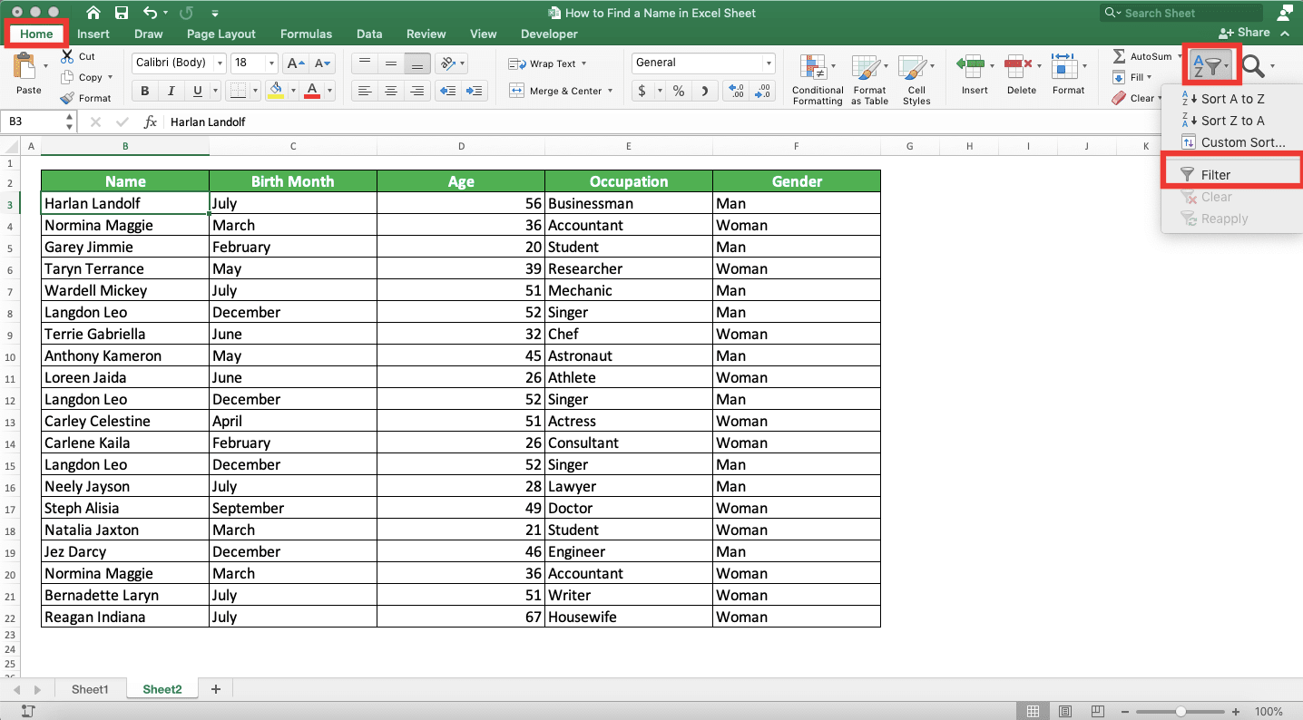 How to Find a Name in Excel Sheet - Screenshot of the Filter Button Location in Excel