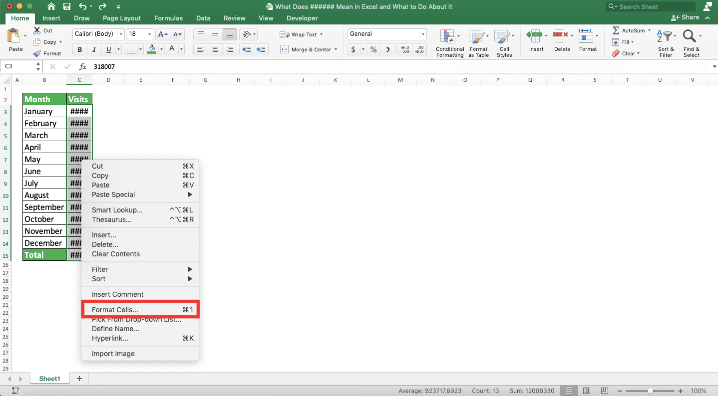 What Does ###### Mean in Excel and What to Do About It - Screenshot of the Shrink to Fit Method, Step 2