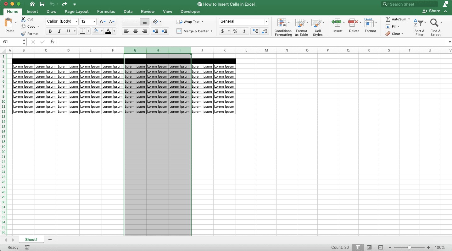 How to Insert Cells in Excel - Screenshot of Inserting Cells by Adding Columns, Step 1