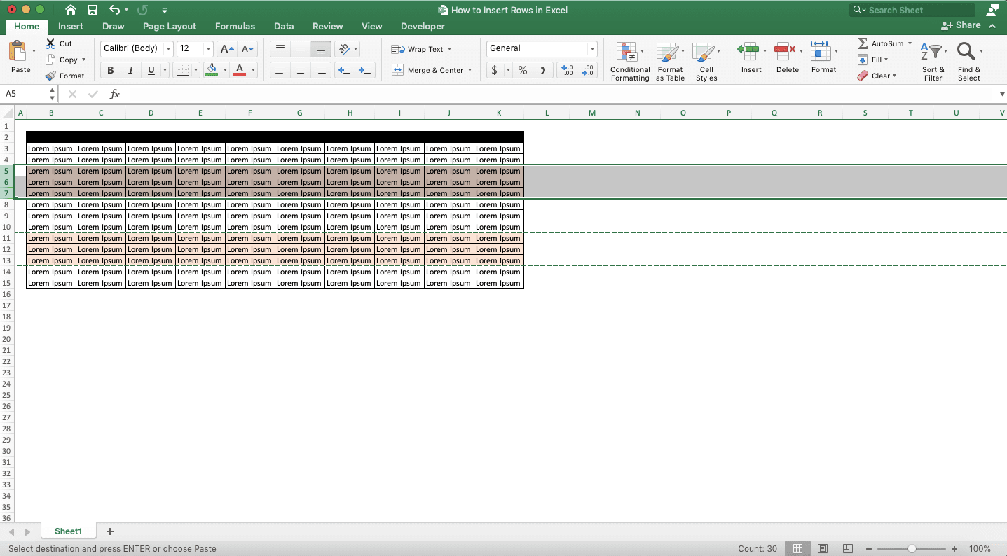 How to Insert Rows in Excel - Screenshot of the Copied Rows Example
