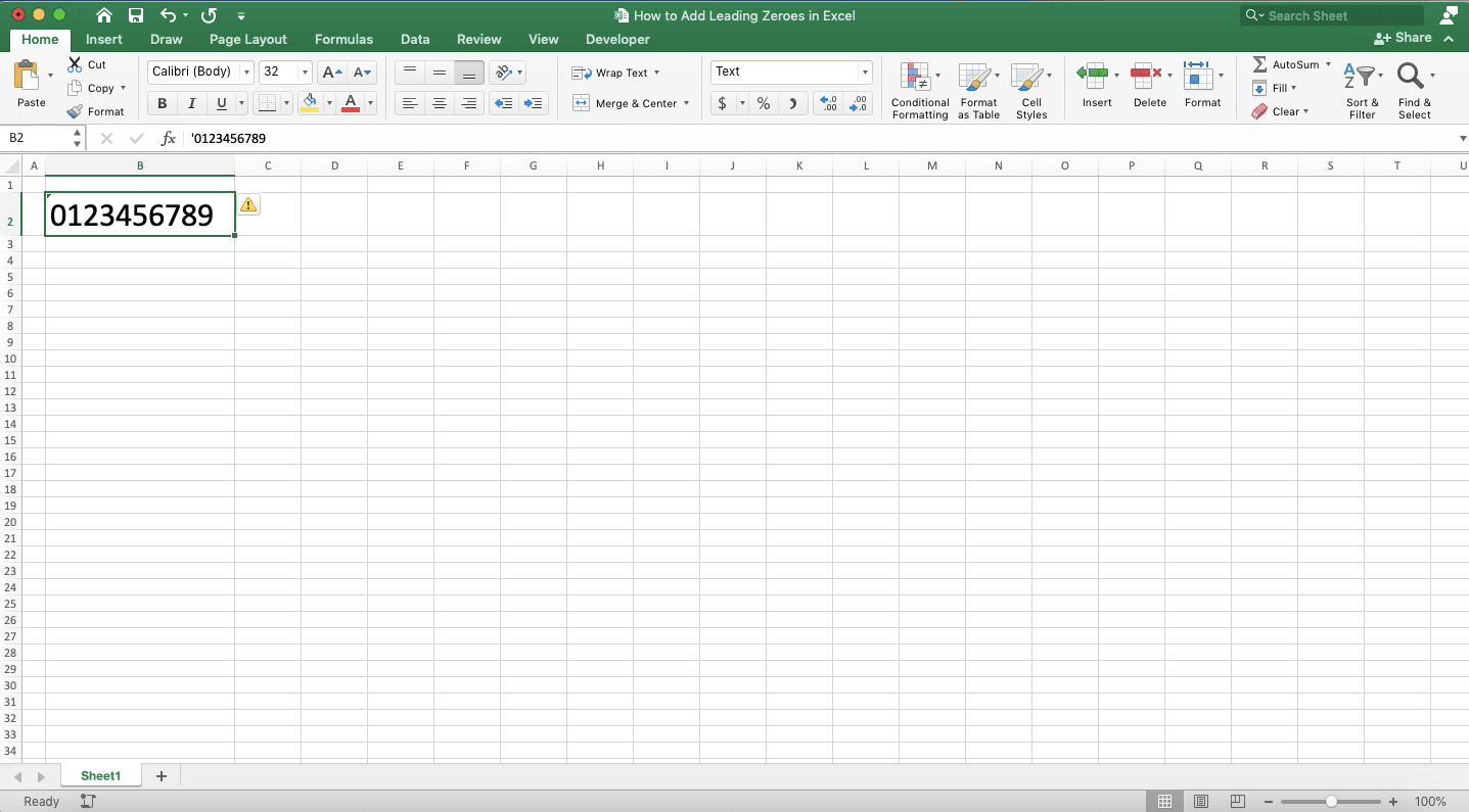 How to Add Leading Zeroes in Excel - Screenshot of Result Example After Typing a Number with Leading Zeroes on a Text Format Cell